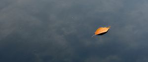 Preview wallpaper leaf, water, lake