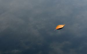 Preview wallpaper leaf, water, lake