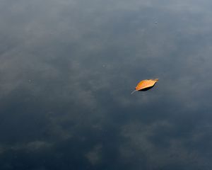 Preview wallpaper leaf, water, lake