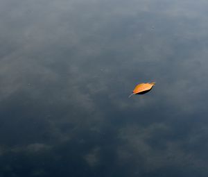 Preview wallpaper leaf, water, lake