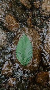 Preview wallpaper leaf, water, stones, current