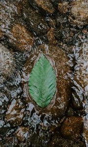 Preview wallpaper leaf, water, stones, current