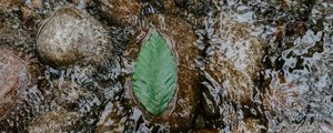 Preview wallpaper leaf, water, stones, current