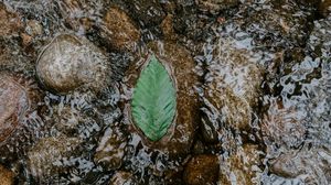 Preview wallpaper leaf, water, stones, current