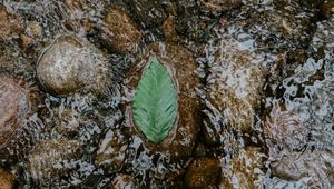 Preview wallpaper leaf, water, stones, current