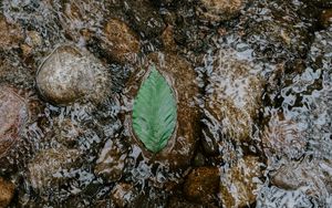 Preview wallpaper leaf, water, stones, current