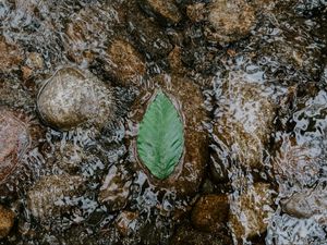 Preview wallpaper leaf, water, stones, current