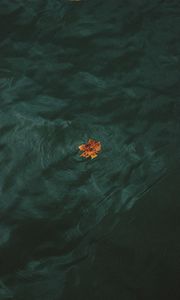 Preview wallpaper leaf, water, waves, minimalism
