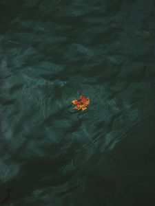 Preview wallpaper leaf, water, waves, minimalism