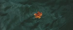 Preview wallpaper leaf, water, waves, minimalism