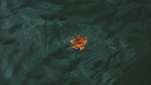 Preview wallpaper leaf, water, waves, minimalism