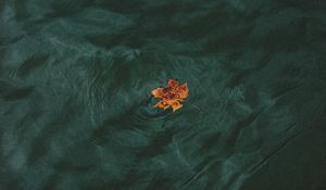 Preview wallpaper leaf, water, waves, minimalism