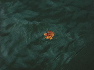 Preview wallpaper leaf, water, waves, minimalism