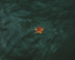 Preview wallpaper leaf, water, waves, minimalism