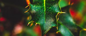 Preview wallpaper leaf, wet, dew, macro, plant