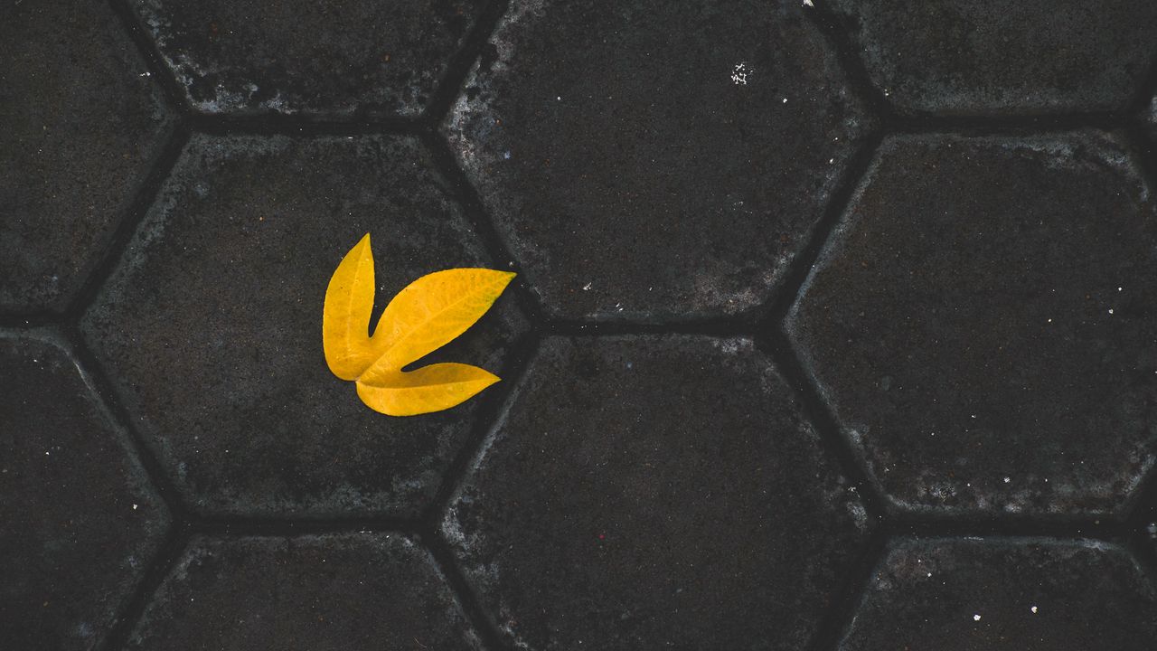 Wallpaper leaf, yellow, paving slabs, stone