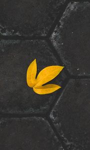 Preview wallpaper leaf, yellow, paving slabs, stone