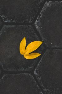 Preview wallpaper leaf, yellow, paving slabs, stone