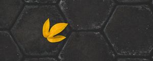 Preview wallpaper leaf, yellow, paving slabs, stone