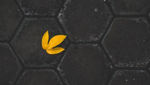 Preview wallpaper leaf, yellow, paving slabs, stone