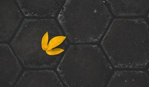 Preview wallpaper leaf, yellow, paving slabs, stone