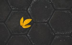 Preview wallpaper leaf, yellow, paving slabs, stone