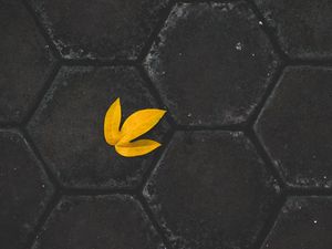 Preview wallpaper leaf, yellow, paving slabs, stone