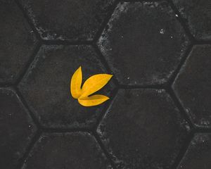 Preview wallpaper leaf, yellow, paving slabs, stone