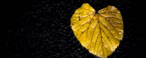 Preview wallpaper leaf, yellow, texture, dark