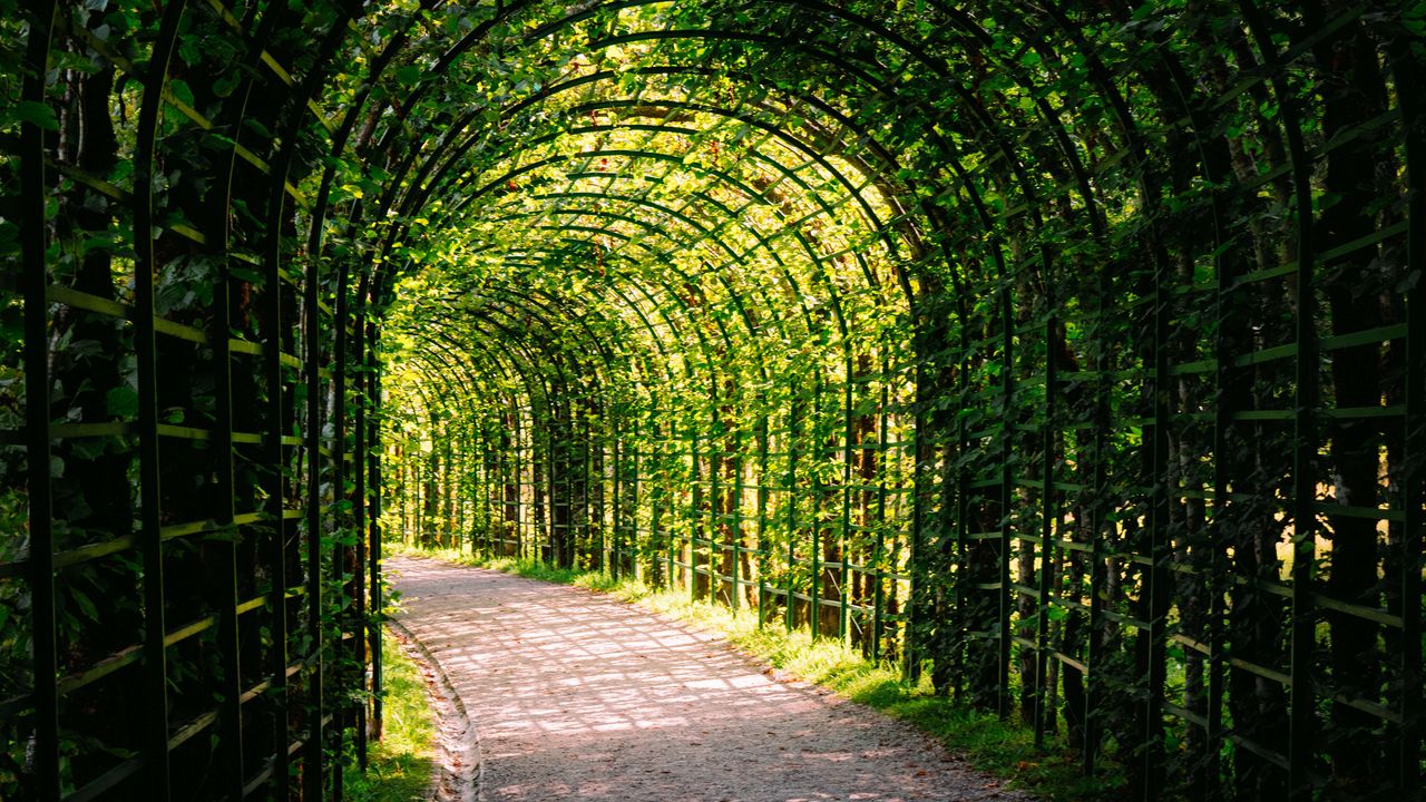 Wallpaper leaves, arch, garden, plants, nature