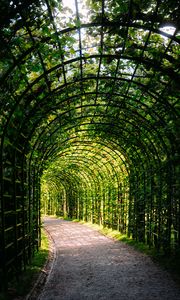 Preview wallpaper leaves, arch, garden, plants, nature