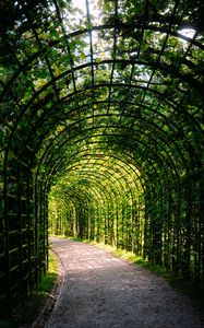 Preview wallpaper leaves, arch, garden, plants, nature