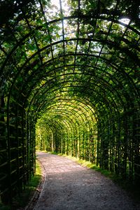 Preview wallpaper leaves, arch, garden, plants, nature