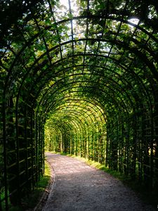 Preview wallpaper leaves, arch, garden, plants, nature