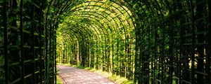 Preview wallpaper leaves, arch, garden, plants, nature