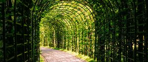 Preview wallpaper leaves, arch, garden, plants, nature