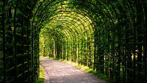 Preview wallpaper leaves, arch, garden, plants, nature