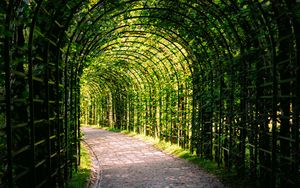 Preview wallpaper leaves, arch, garden, plants, nature