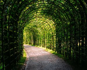 Preview wallpaper leaves, arch, garden, plants, nature