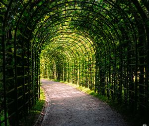 Preview wallpaper leaves, arch, garden, plants, nature