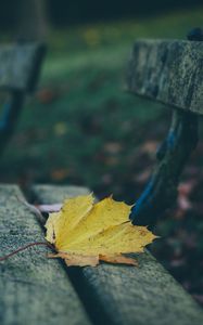 Preview wallpaper leaves, autumn, bench