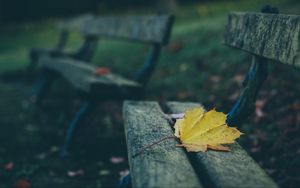 Preview wallpaper leaves, autumn, bench