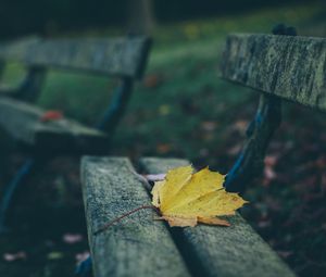 Preview wallpaper leaves, autumn, bench