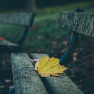 Preview wallpaper leaves, autumn, bench