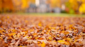 Preview wallpaper leaves, autumn, blur, orange, nature