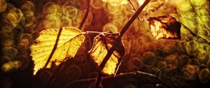 Preview wallpaper leaves, autumn, branch, bokeh