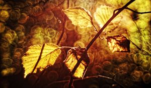 Preview wallpaper leaves, autumn, branch, bokeh