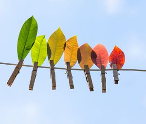 Preview wallpaper leaves, autumn, clothespins, wire