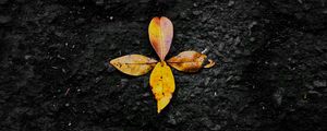 Preview wallpaper leaves, autumn, fallen, yellow