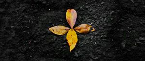 Preview wallpaper leaves, autumn, fallen, yellow